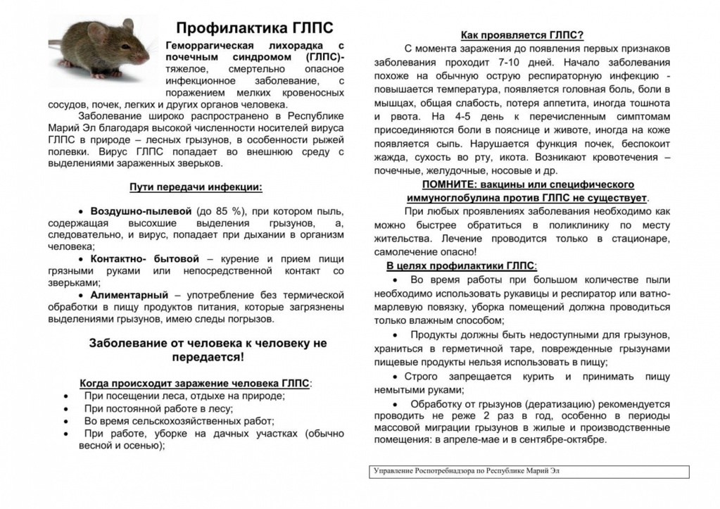 Профилактика ГЛПС.jpg